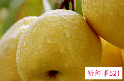 出门带什么水果方便