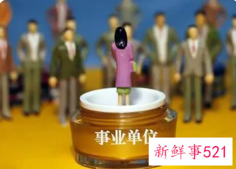 政府单位有几种编制