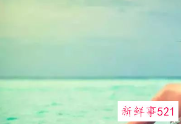 学习游泳的技巧