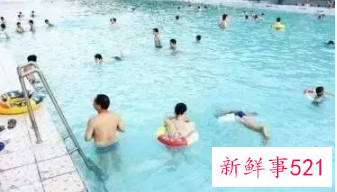 学习游泳的技巧