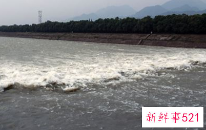 已婚女人梦见河水