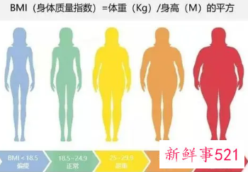 正确BMI计算公式