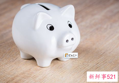 梦见小猪的寓意