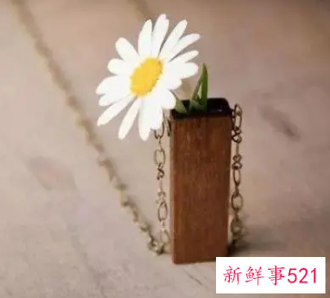 描述自己的一天作文