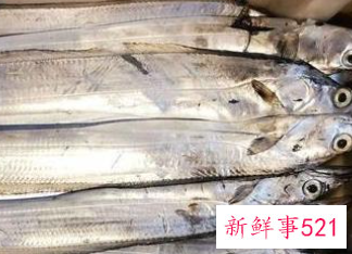 春季吃鱼的好处