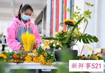 我国5月将实行新职业教育法