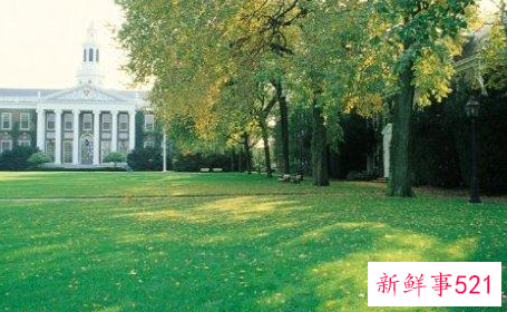 高考志愿填报河北省