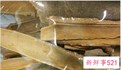 川桂枝和桂枝一样吗