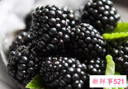 水果黑莓的功效