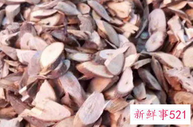 川桂枝和桂枝一样吗