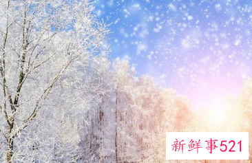 写出与冬天有关的事物