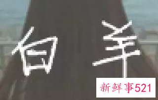 白羊女所有的感情