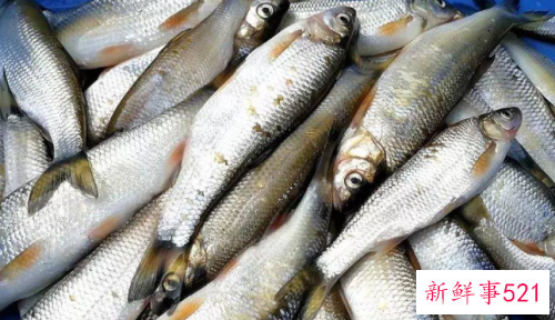 梦见抓鱼虾表示什么