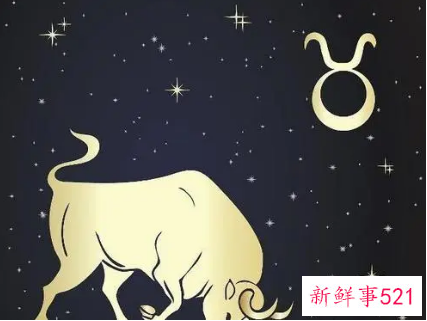 对金牛座的毒舌点评