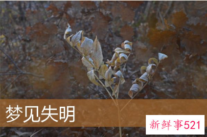 梦见自己失明有什么征兆