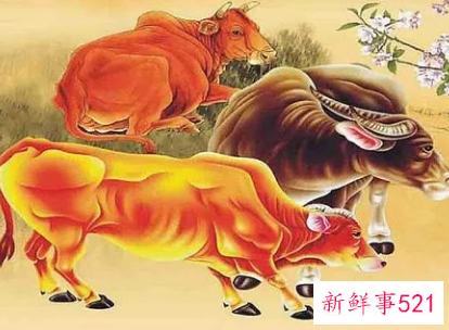 2022年工作调动生肖有谁呢