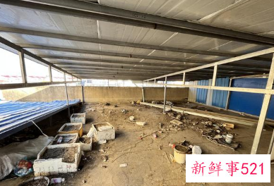 群众寒夜追悼救人牺牲消防员