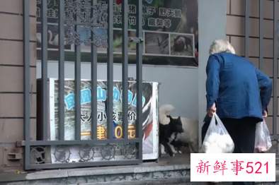 八旬老兵32年独守动物园