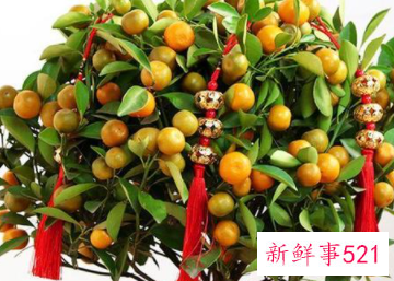 过年买的桃花会结果吗