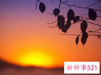 女孩名字诗意有内涵的