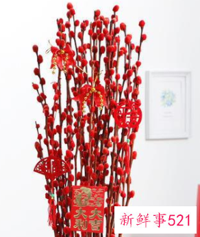 过年买的桃花会结果吗