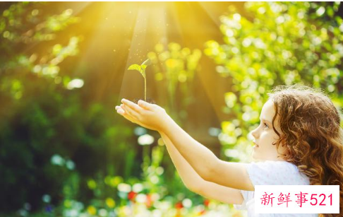 如何培养一个阳光积极的孩子