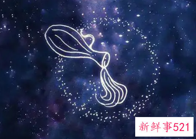 水瓶男爱而不得的女人