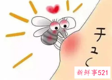 肚脐眼湿疹会是什么原因