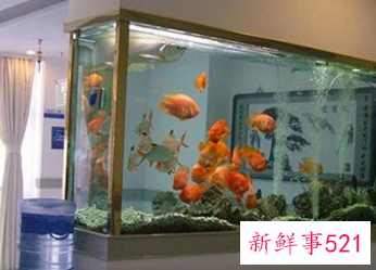 金鱼缸摆放在家里什么位置好