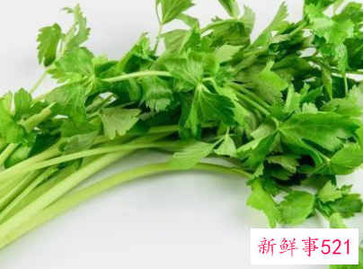 春天的时令食物