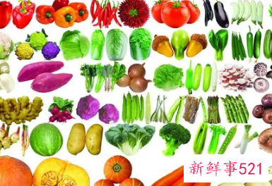 蔬菜品种