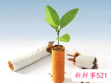 戒烟只要坚持三天就成功了