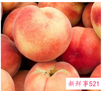桃子在夏天怎么保存