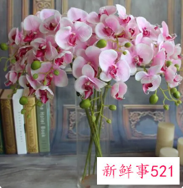 一进门看见假花好不好