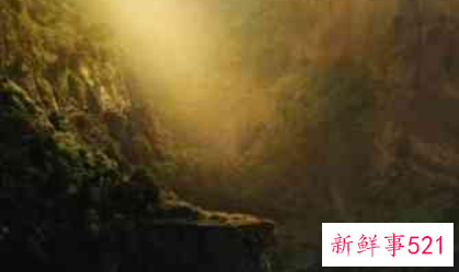 梦见躲避野兽有什么征兆