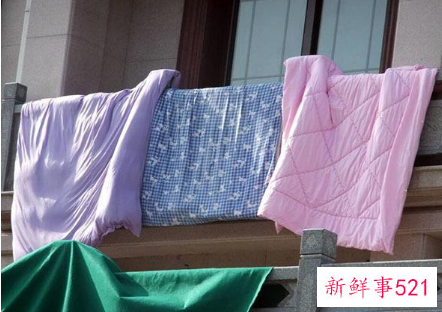 棉花被被猫尿的全是的怎么办