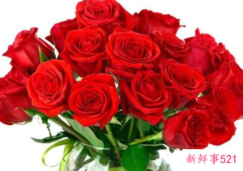 16朵黄玫瑰花代表什么意思