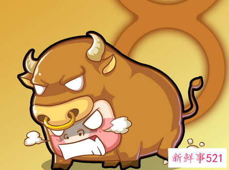 对金牛座的毒舌点评