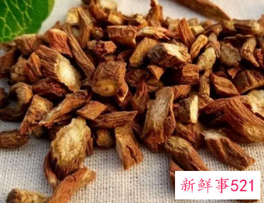 丹参的采收方法