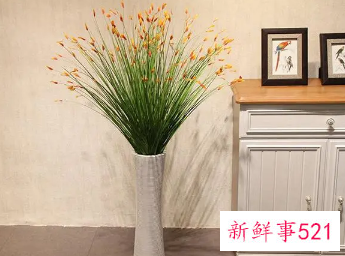 一进门看见假花好不好