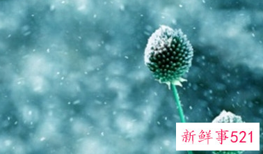 雪对人们有什么好处