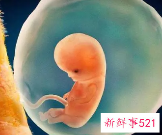 怀孕3周着床了吗