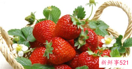 春季常食草莓提神开胃润肺健脾