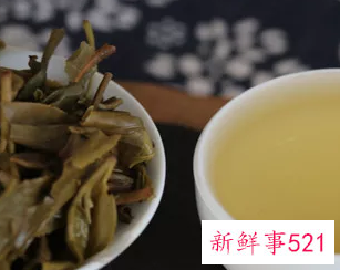 普洱生茶好还是熟茶好