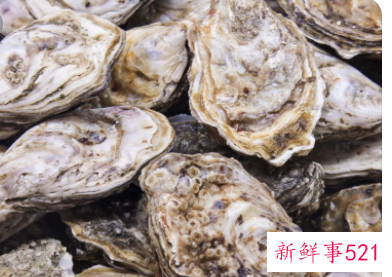 生蚝如何储存保鲜冰箱