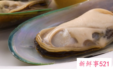 生蚝如何储存保鲜冰箱