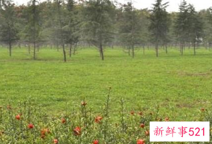 雪对人们有什么好处