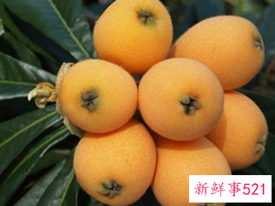 如何食用枇杷可以润肺止咳