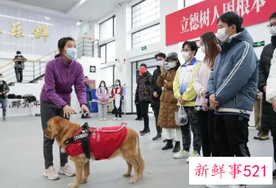 北京冬奥会场地有哪些