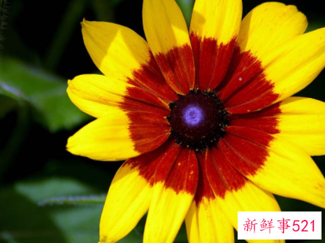 捡到钱代表运气好嘛